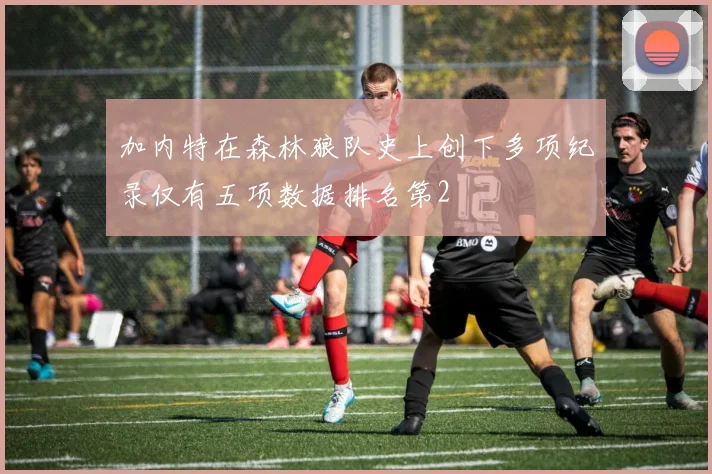 加内特在森林狼队史上创下多项纪录仅有五项数据排名第2