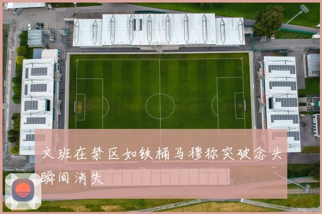 文班在禁区如铁桶马穆称突破念头瞬间消失