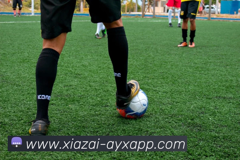 爱游戏APP 封面图